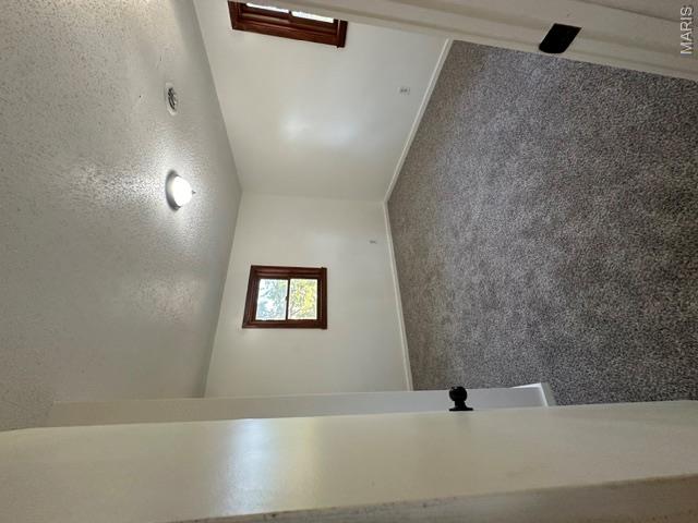 6786 Highway K Property Photo 41