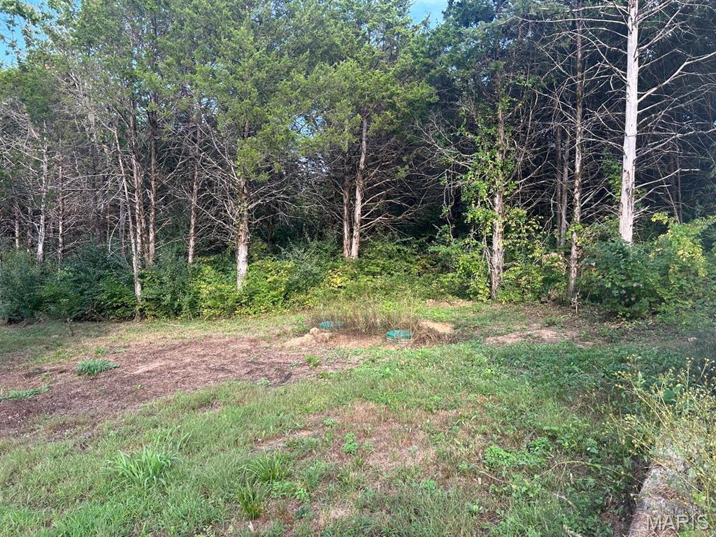 325 Crabapple Lane Property Photo 7