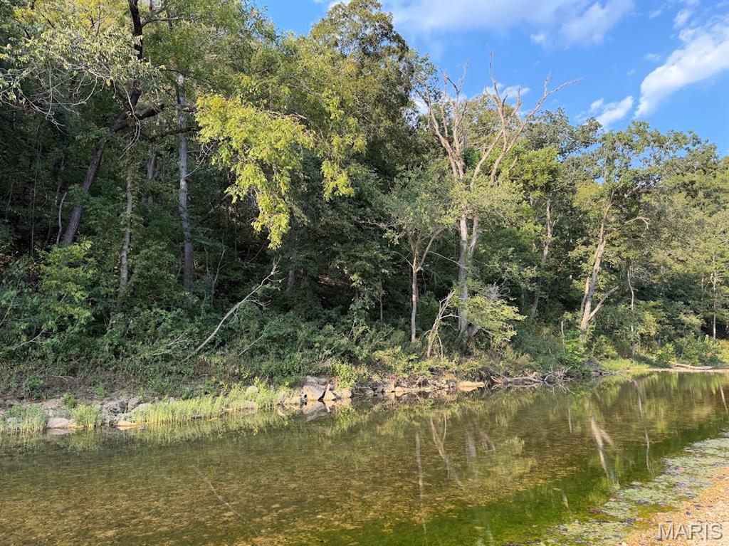 1035 Jacks Fork Road Property Photo 69