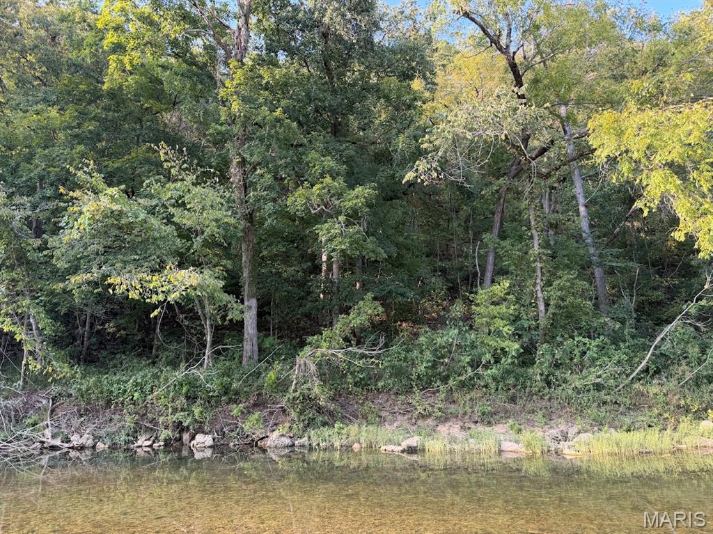1035 Jacks Fork Road Property Photo 70