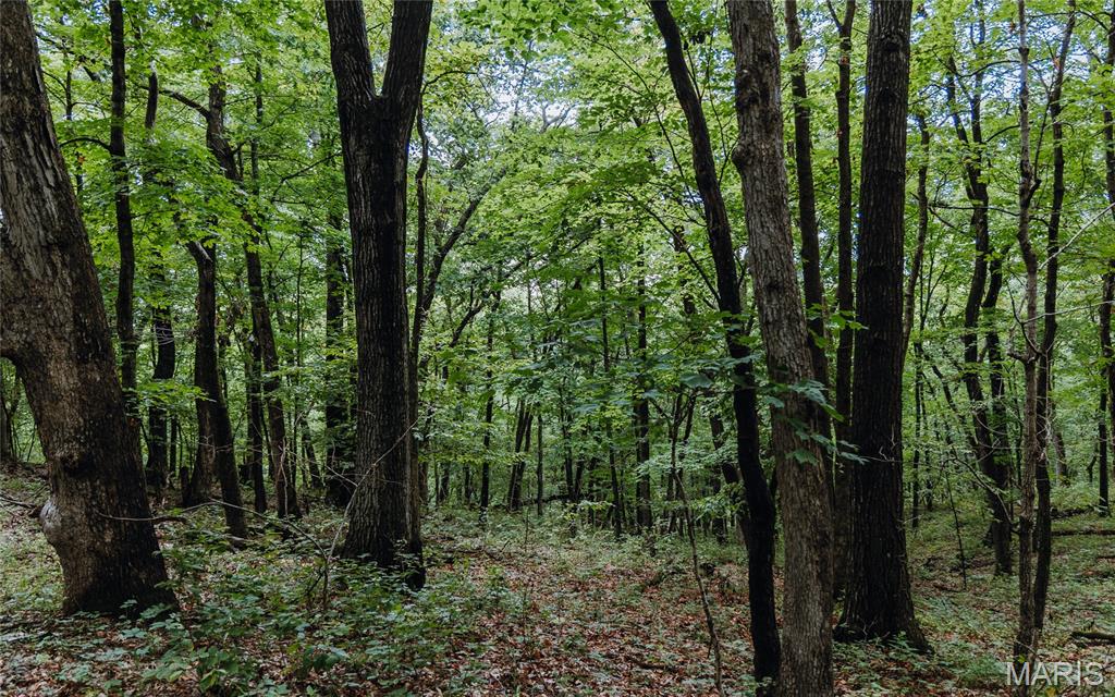 1137 Highway F Property Photo 27