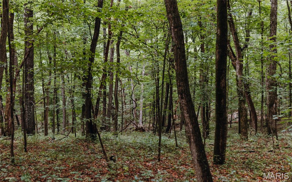 1137 Highway F Property Photo 29
