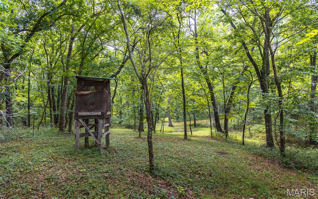 1137 Highway F Property Photo 32