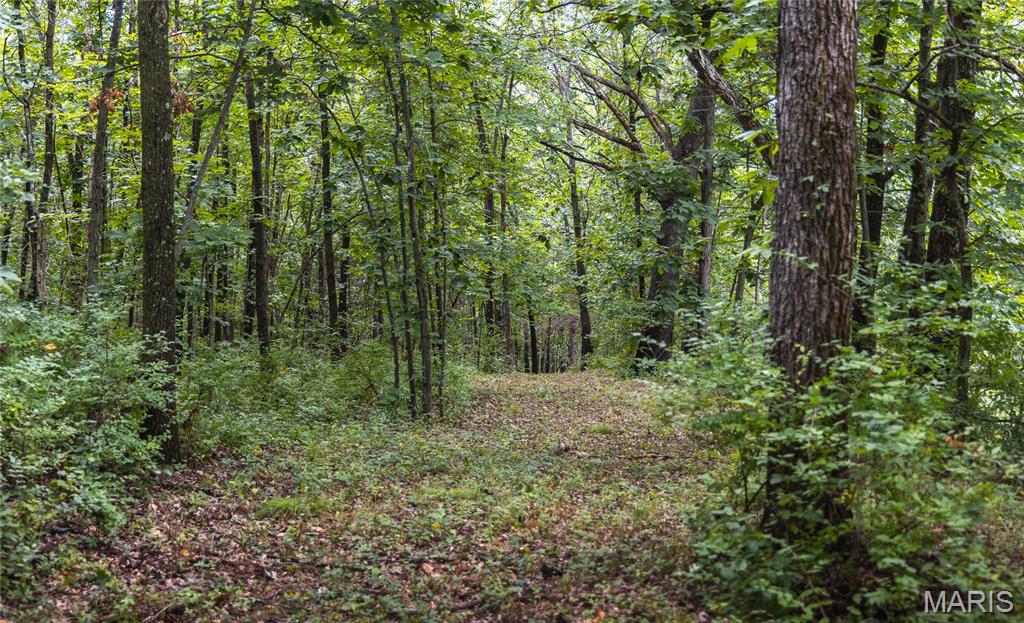 1137 Highway F Property Photo 34