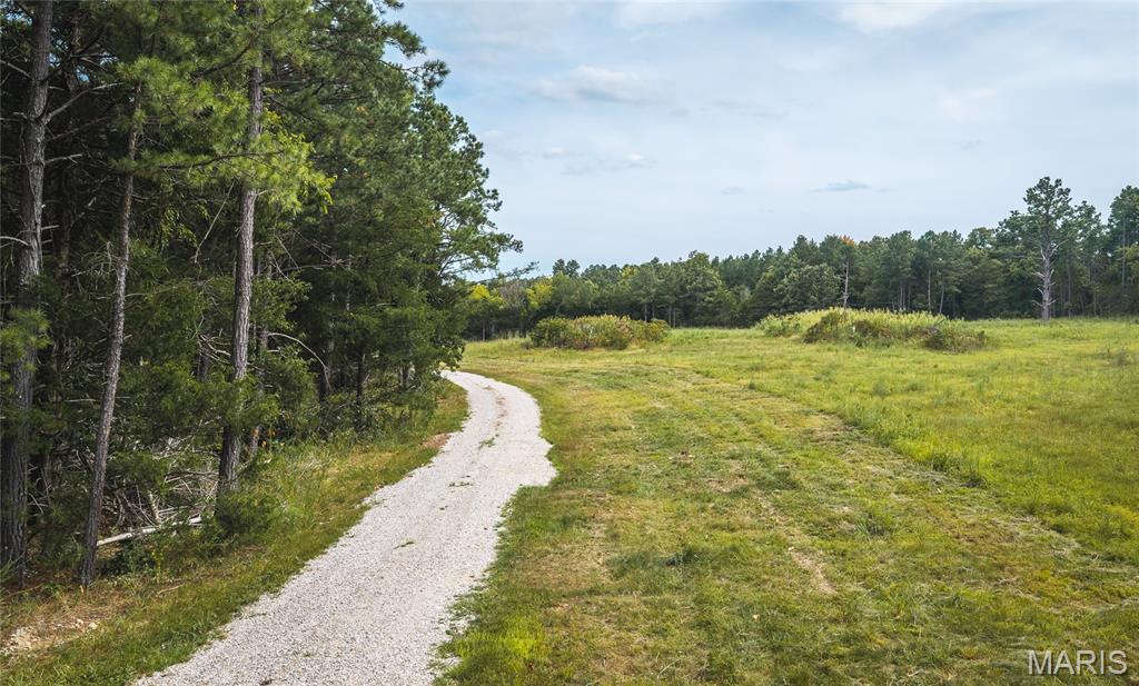 31665 County Road 6630 Property Photo 39