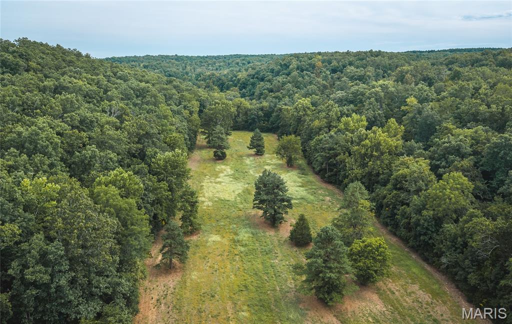 31665 County Road 6630 Property Photo 42