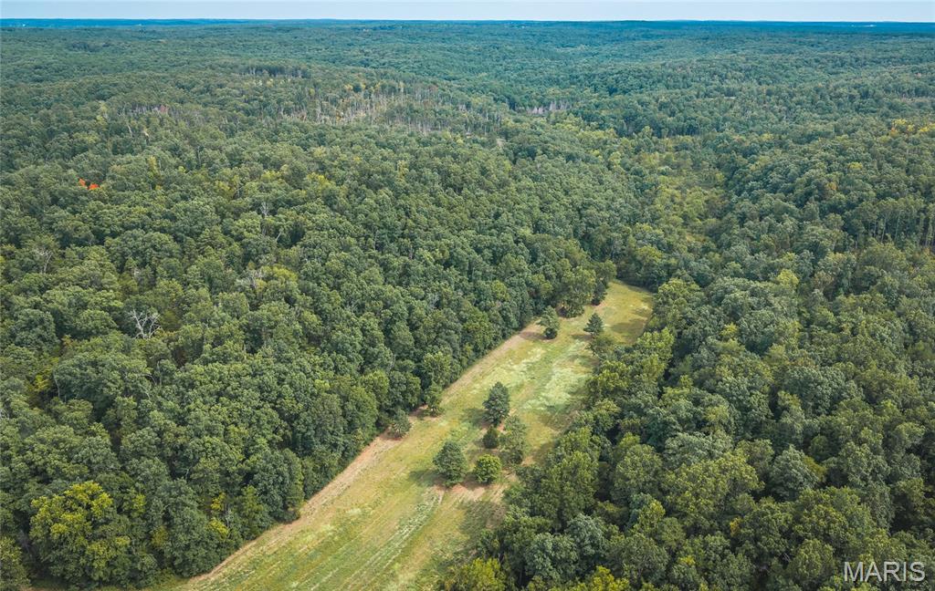 31665 County Road 6630 Property Photo 43