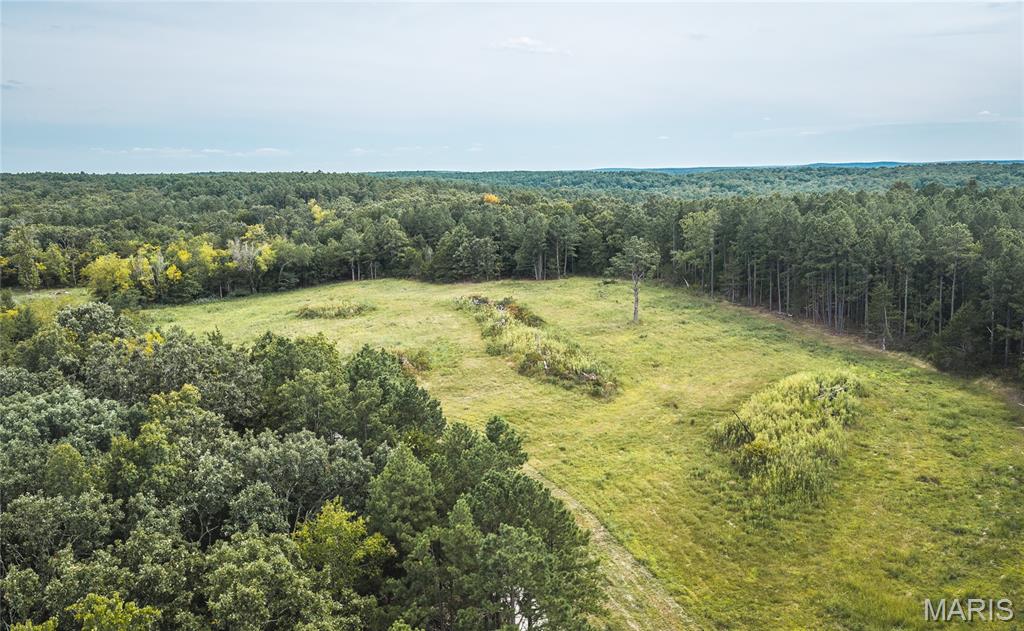 31665 County Road 6630 Property Photo 46