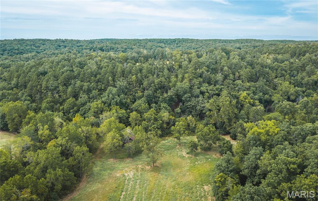 31665 County Road 6630 Property Photo 53