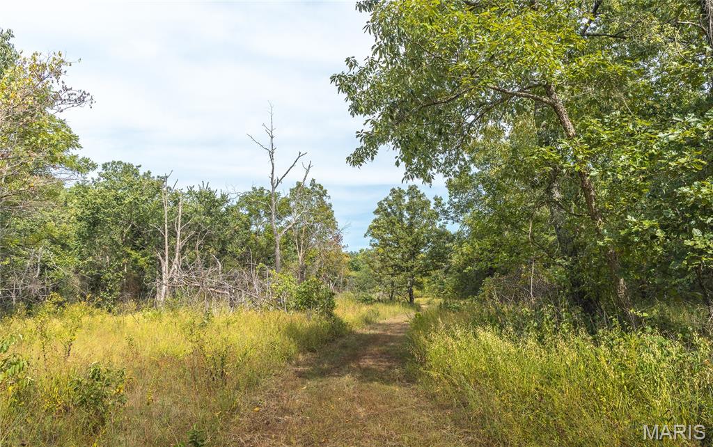 31665 County Road 6630 Property Photo 63