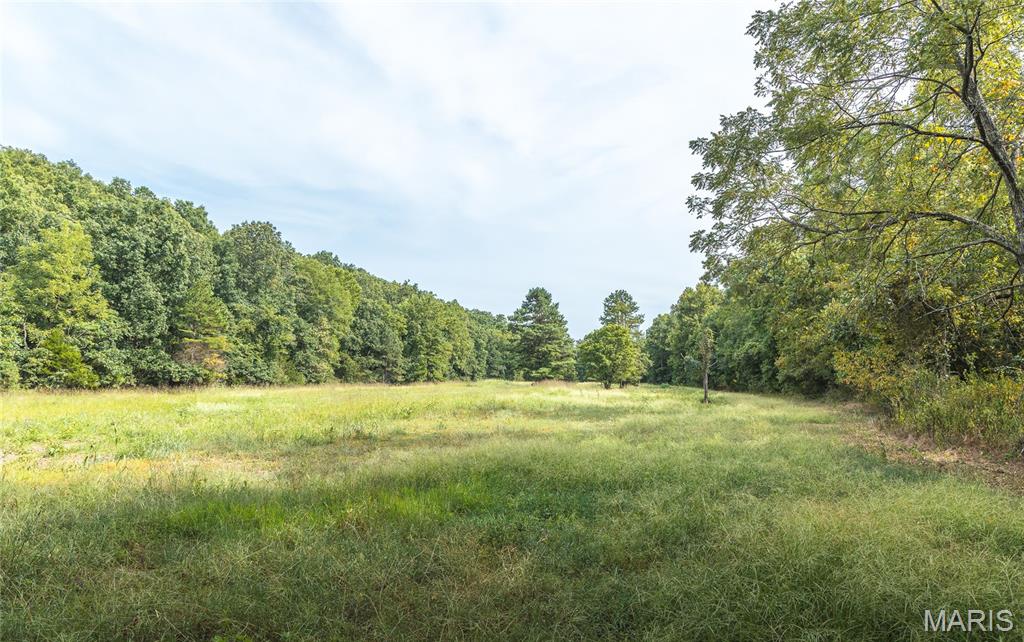 31665 County Road 6630 Property Photo 65