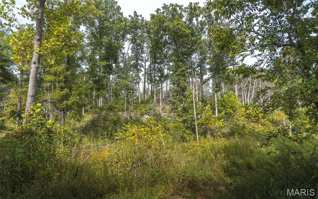 31665 County Road 6630 Property Photo 67