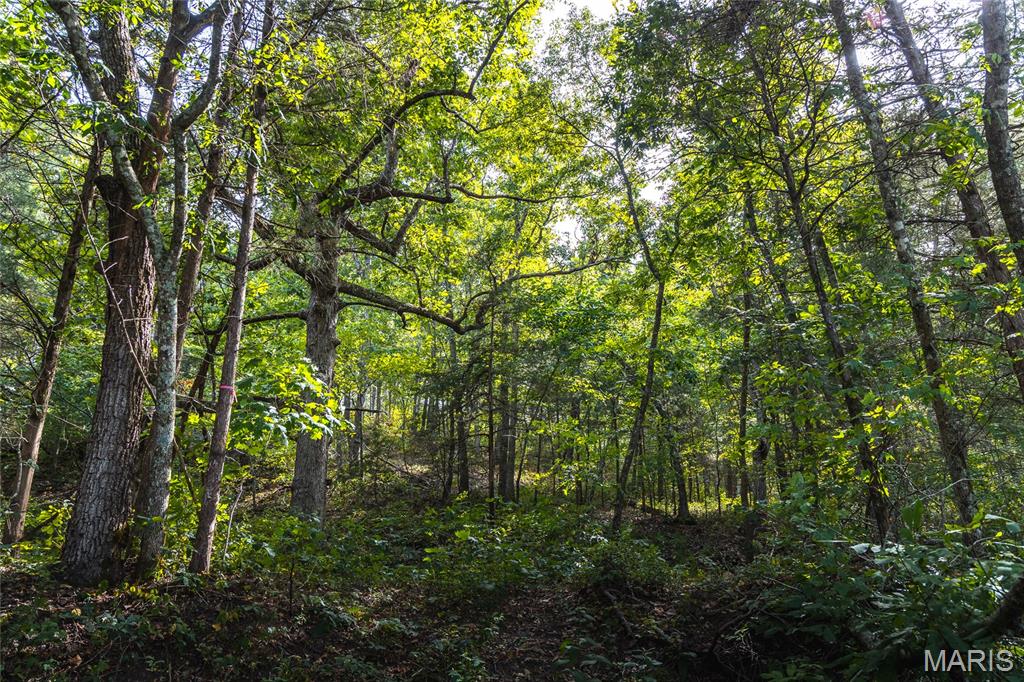 31665 County Road 6630 Property Photo 69
