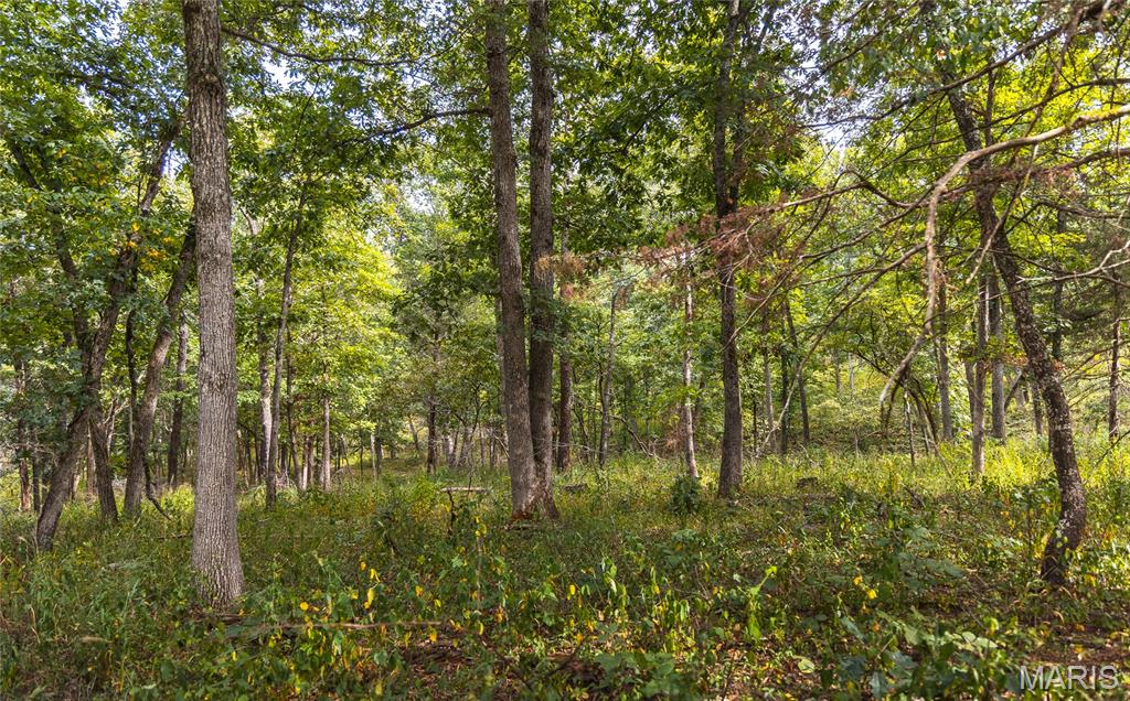 31665 County Road 6630 Property Photo 70