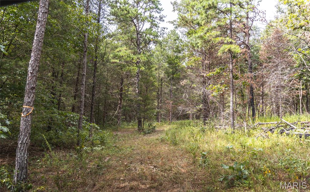 31665 County Road 6630 Property Photo 72