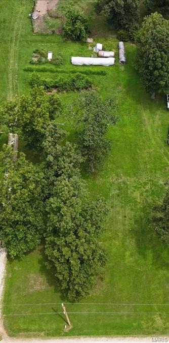 0 Ware Lake Road Property Photo 2