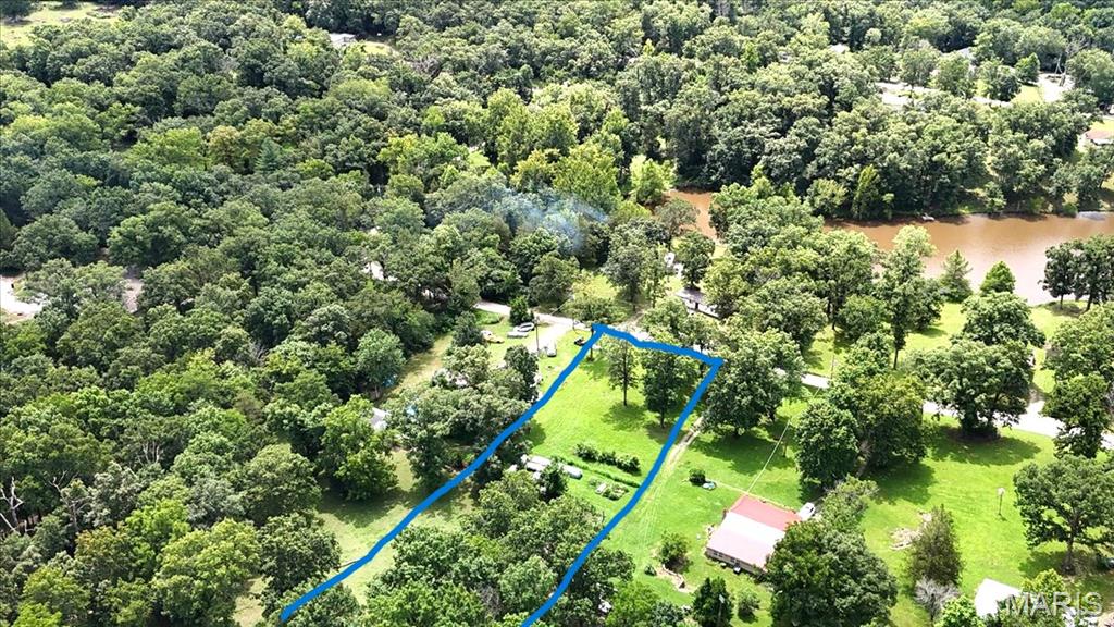 0 Ware Lake Road Property Photo 8
