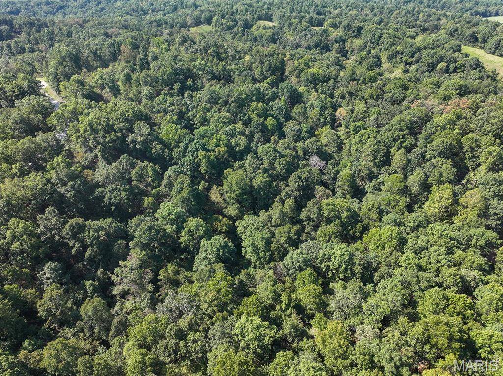 0 Off County Road 535 Property Photo 5