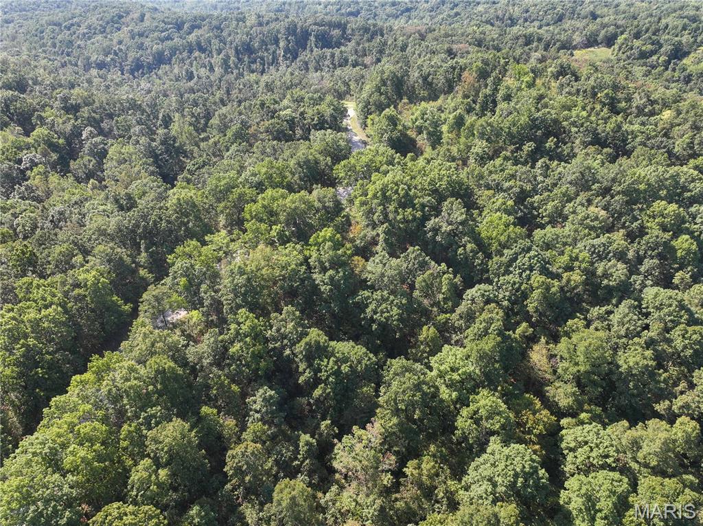 0 Off County Road 535 Property Photo 6