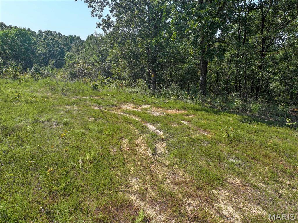 0 Off County Road 535 Property Photo 19