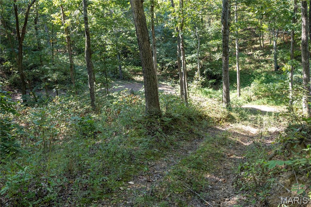 0 Off County Road 535 Property Photo 33