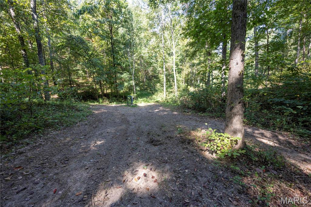 0 Off County Road 535 Property Photo 35