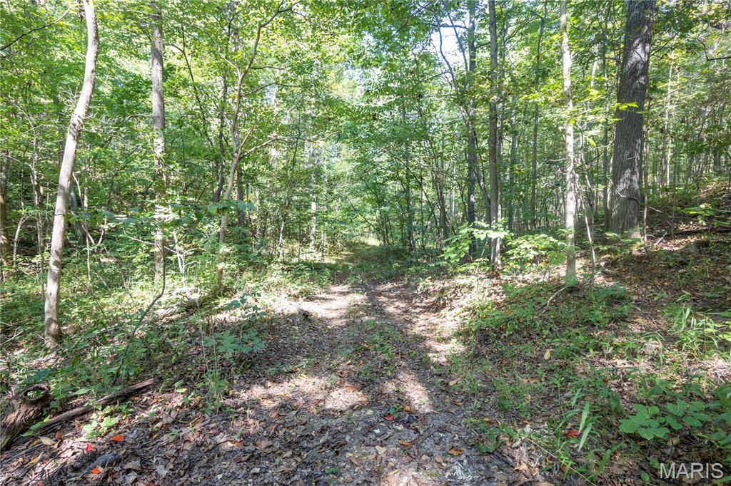 0 Off County Road 535 Property Photo 37