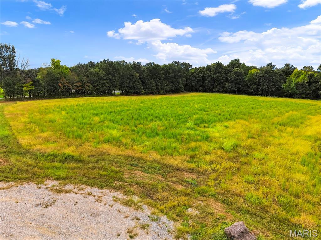 11304 Windsor Place Property Photo 4