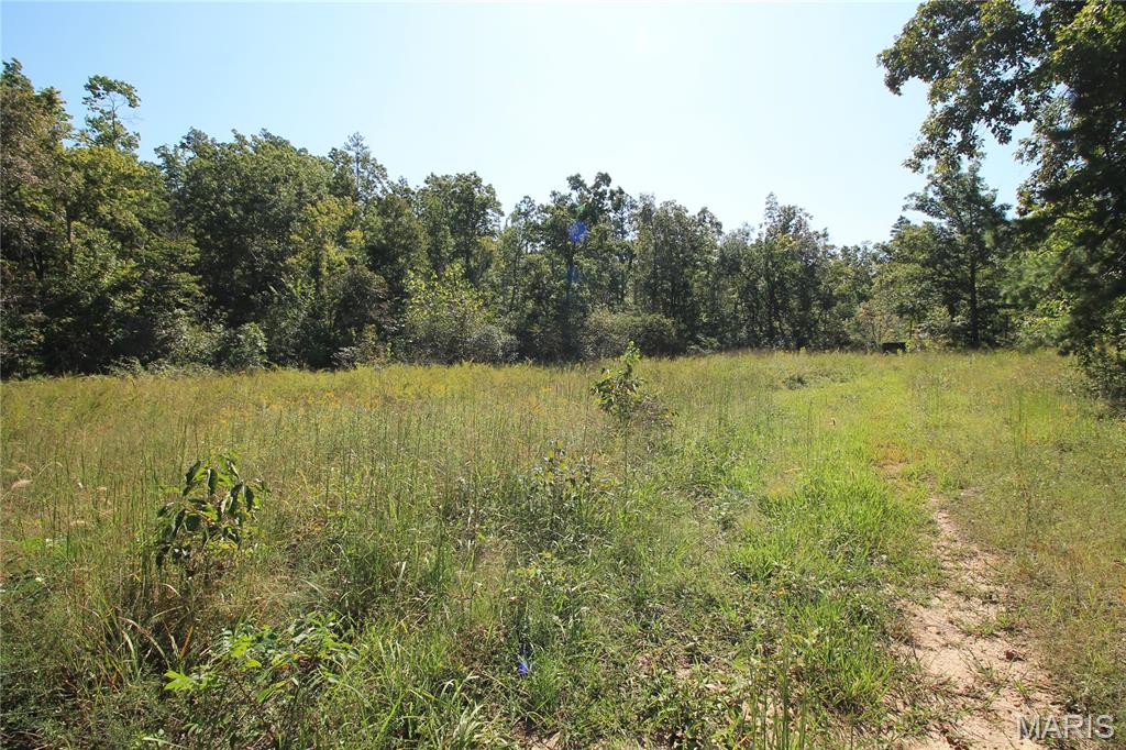 000 Coldwater Creek_lot 3 Property Photo 32