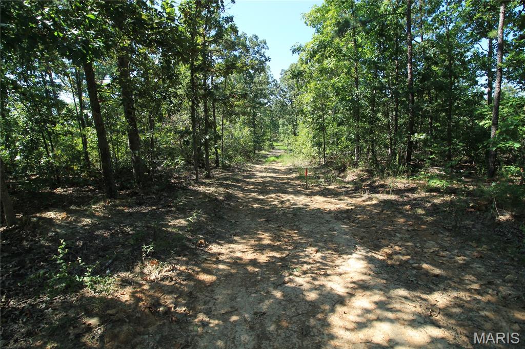 000 Coldwater Creek_lot 3 Property Photo 33