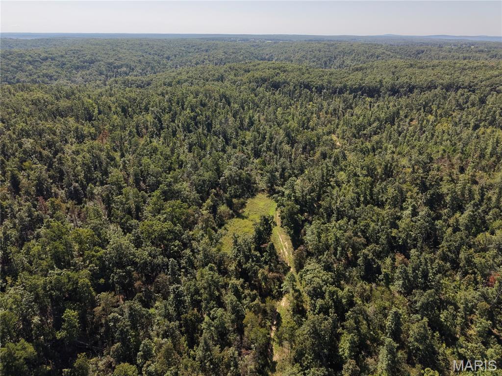 000 Coldwater Creek_lot 3 Property Photo 43