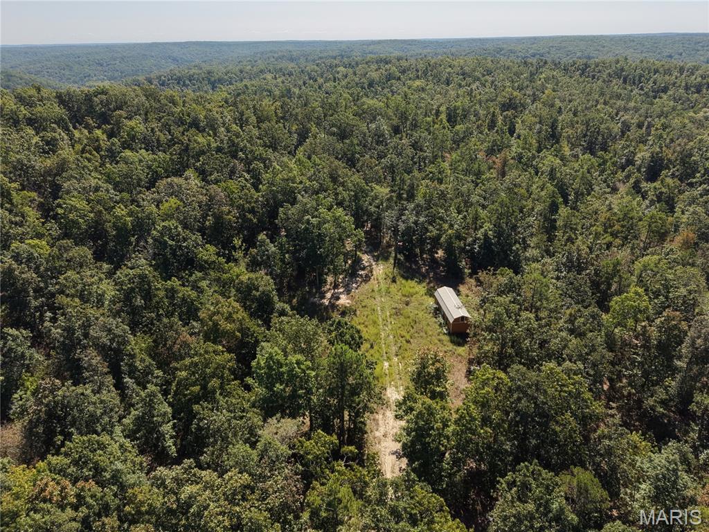 000 Coldwater Creek_lot 3 Property Photo 49