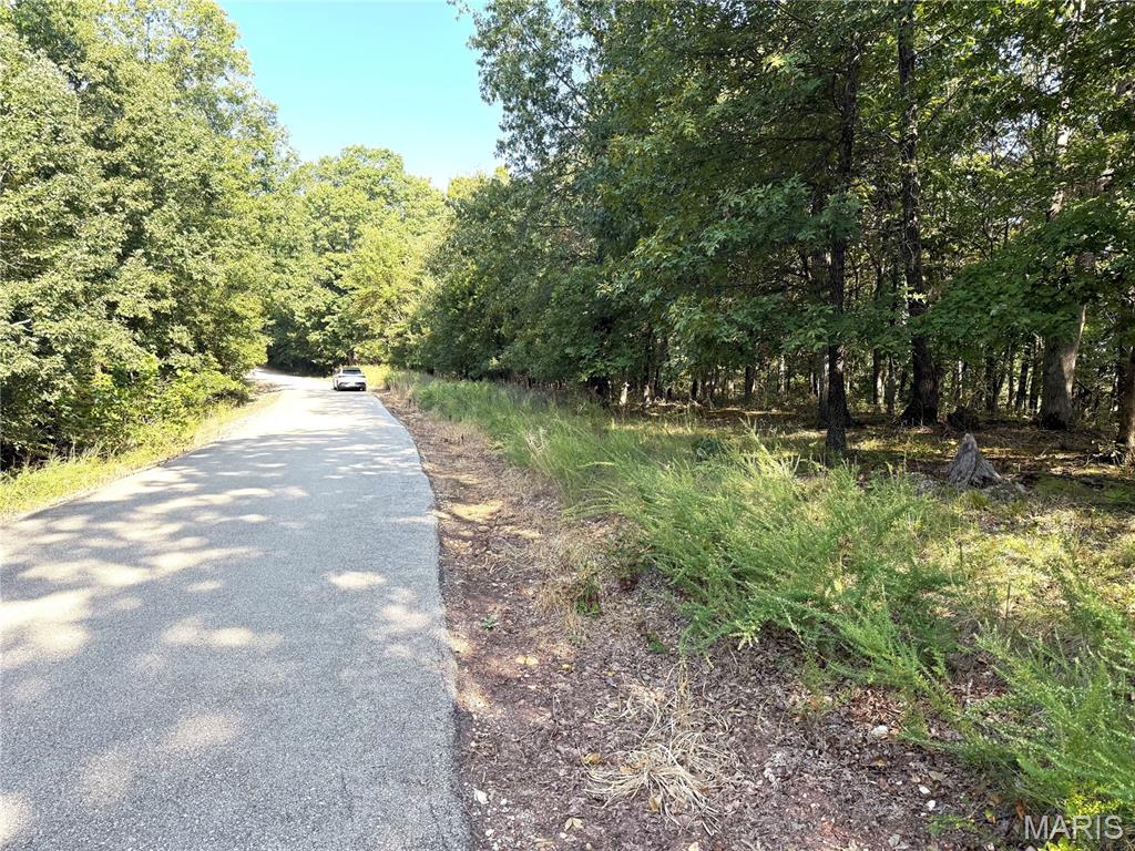 19017 Old Wild Turkey Lane Property Photo 3