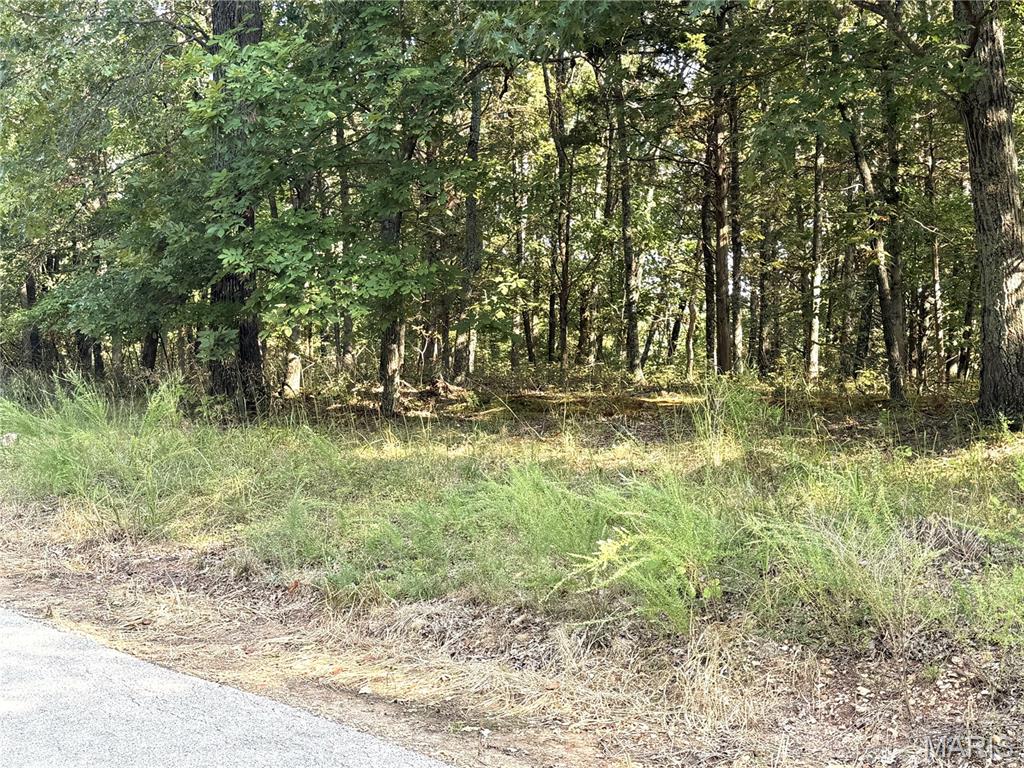 19017 Old Wild Turkey Lane Property Photo 4