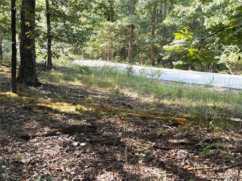 19017 Old Wild Turkey Lane Property Photo 5