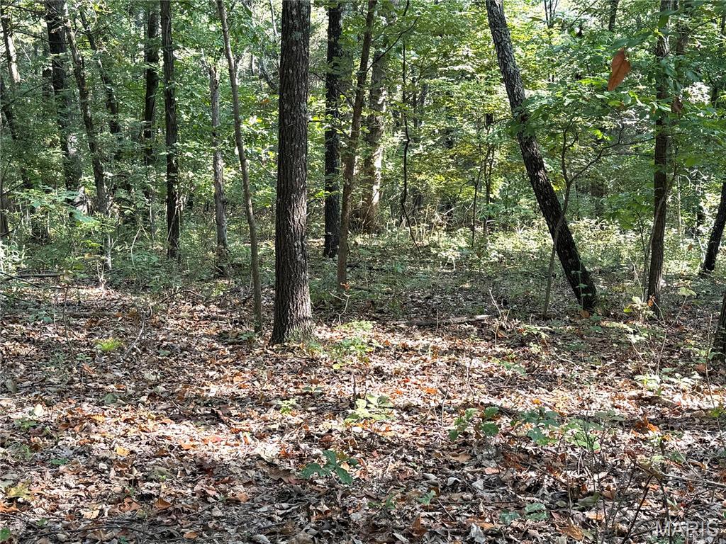 19017 Old Wild Turkey Lane Property Photo 6