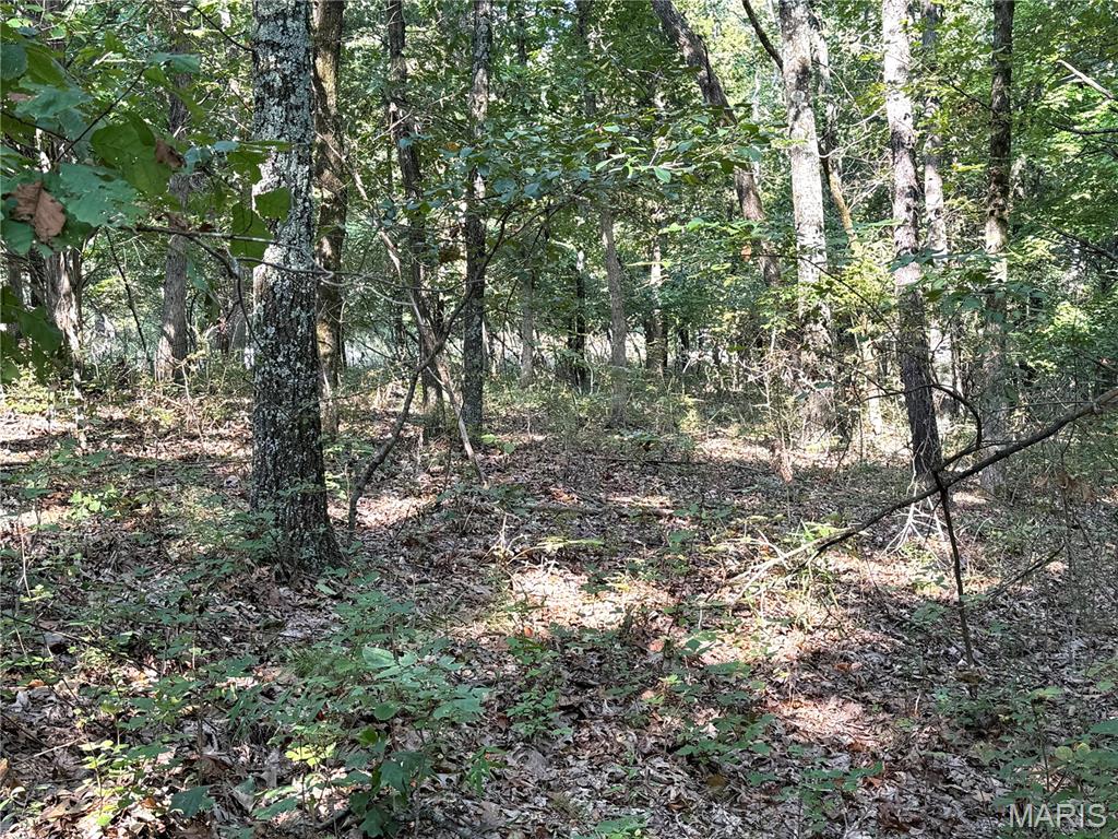 19017 Old Wild Turkey Lane Property Photo 8