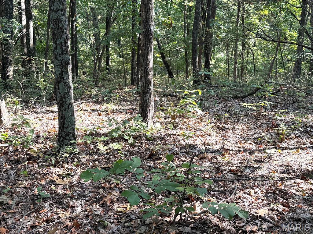 19017 Old Wild Turkey Lane Property Photo 9