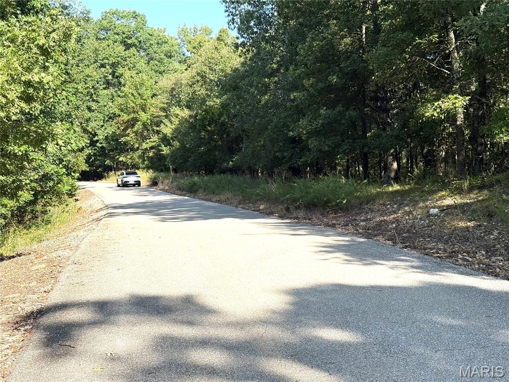 19017 Old Wild Turkey Lane Property Photo 10