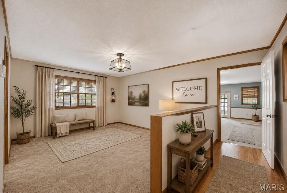 16924 Heller Lane Property Photo 4