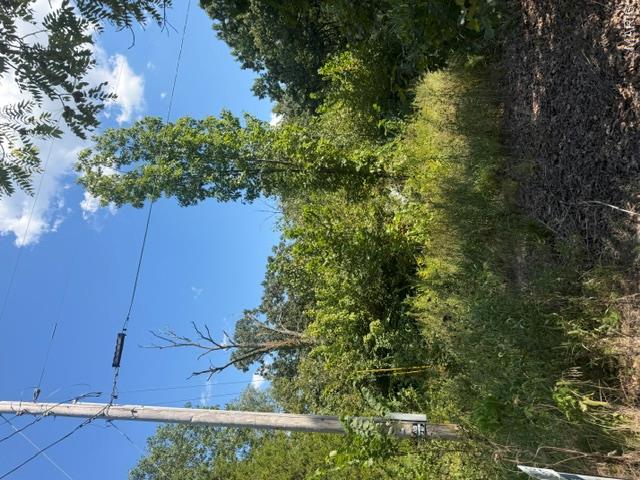 0 Edwards Rd. Property Photo 3