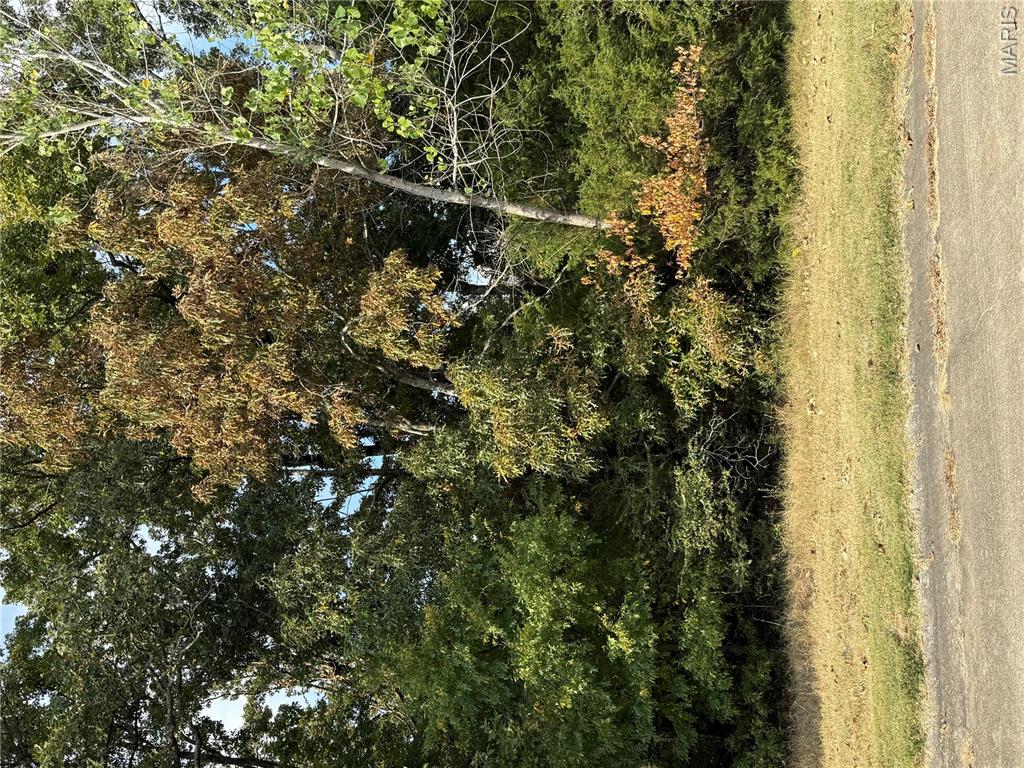 35 Brownwood Court