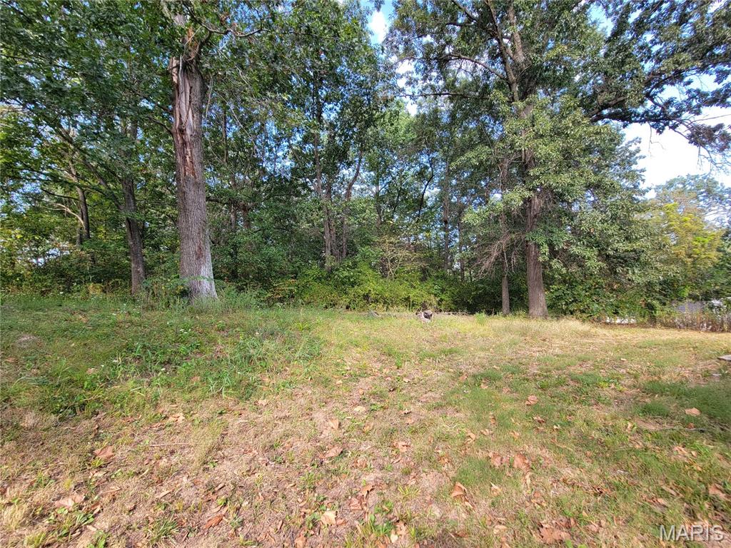 161 Madison Rene Avenue Property Photo 22