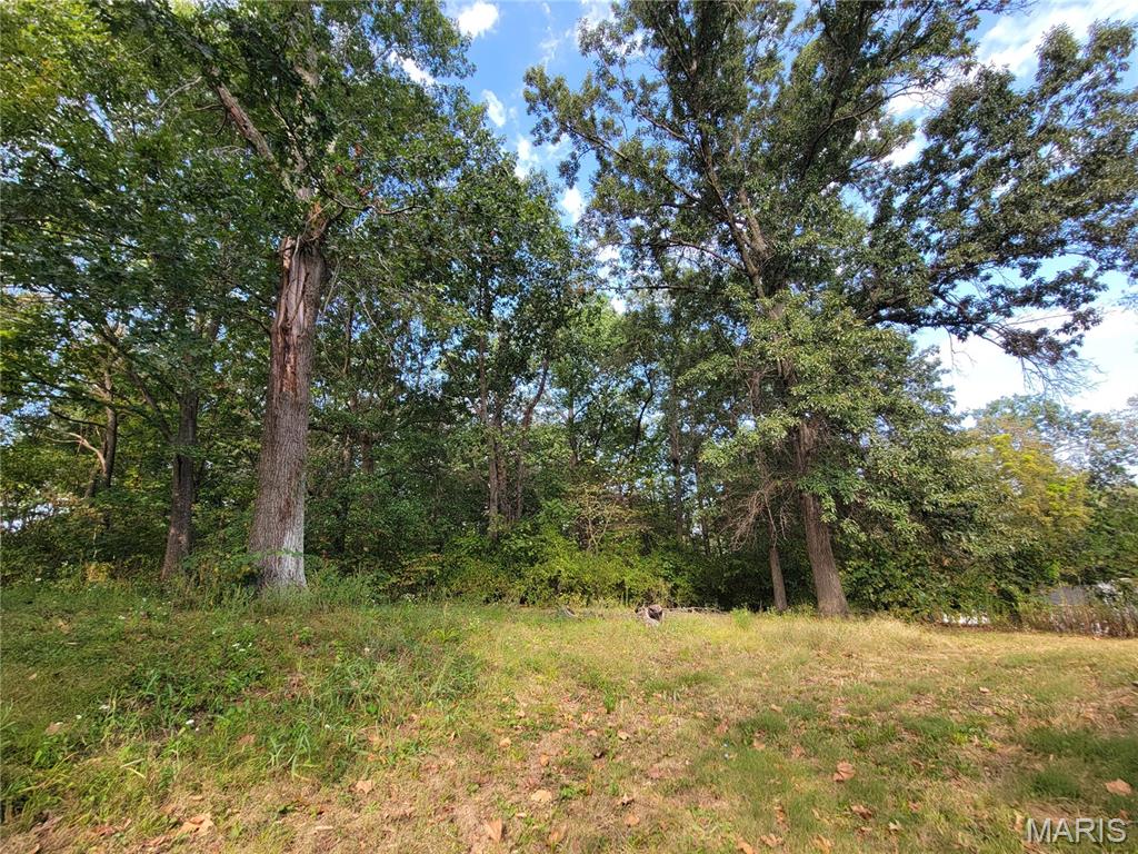 161 Madison Rene Avenue Property Photo 23