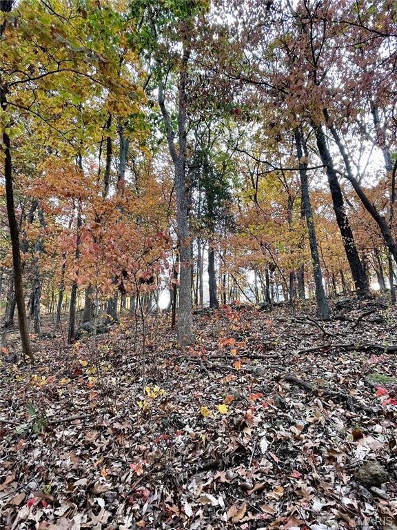 3539 Red Oak Drive Property Photo 2