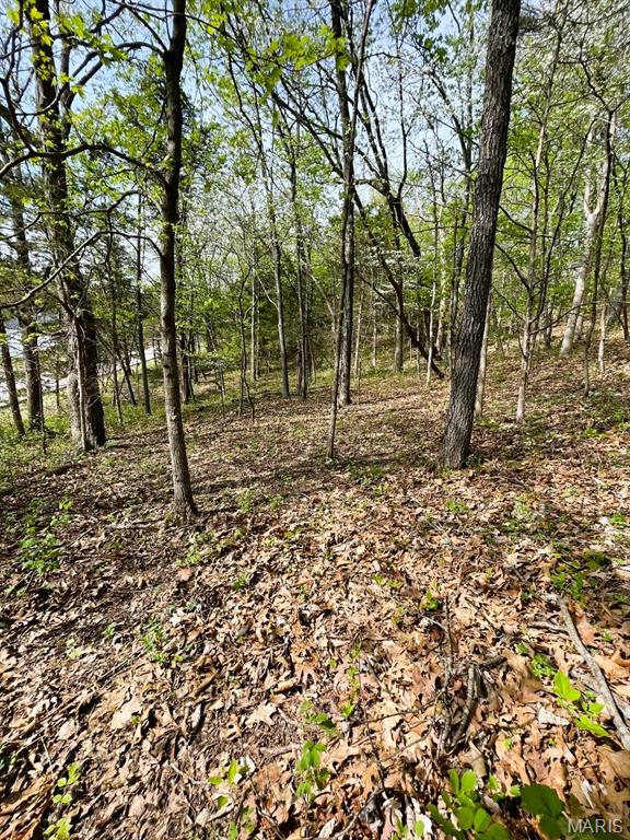 3539 Red Oak Drive Property Photo 3