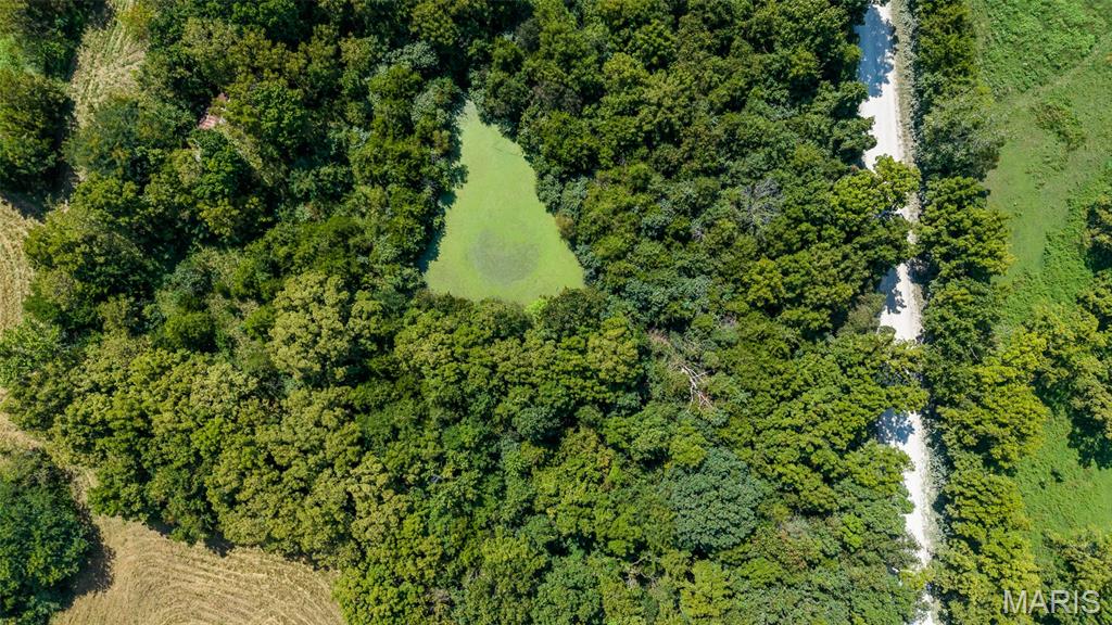 0 Tract 2 3. 57 Ac County Road 4008 Property Photo 1