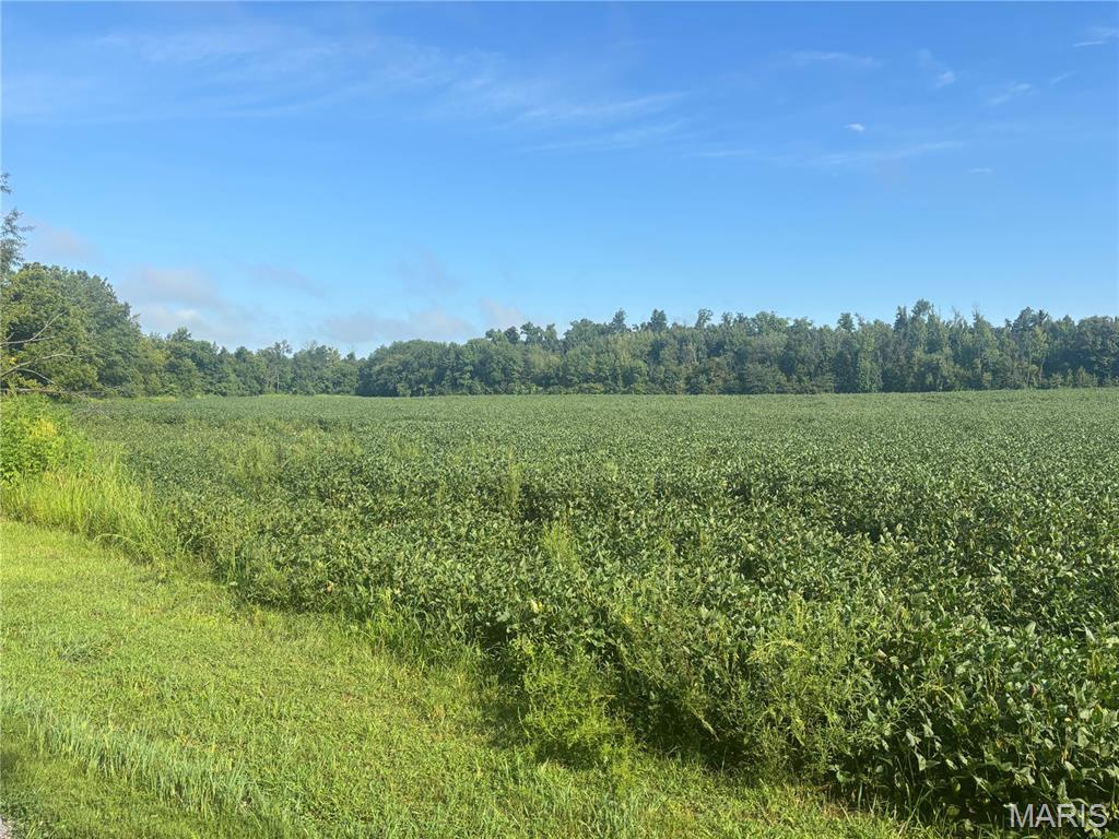 26060407 Property Photo 15