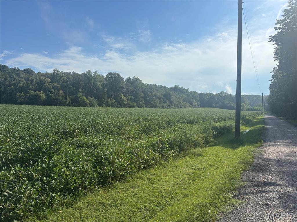 26060407 Property Photo 16