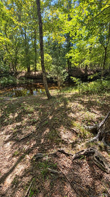 7221 Wayne Rt Ff Property Photo 9